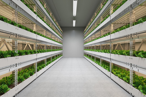 Vertical Farming